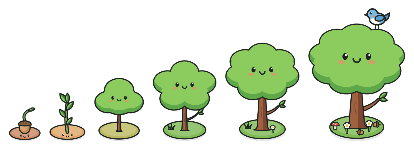 An oak growing from a seed to a full-grown tree